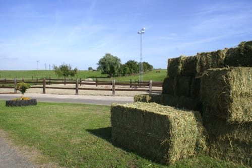 Pension pour cheval - Belgique