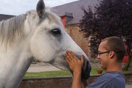 Pension pour cheval